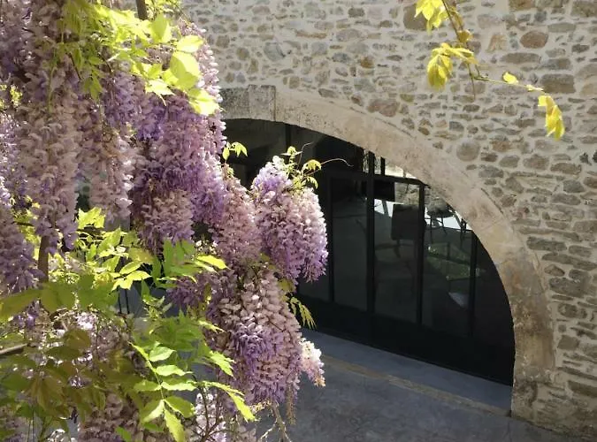 Domaine Forvent Bed and Breakfast